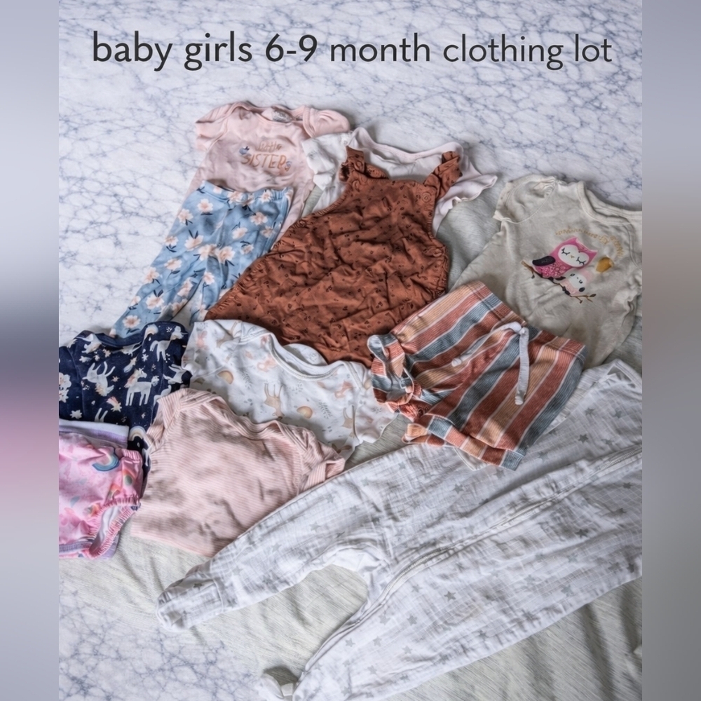 12 Piece Girls 6-9 Month Brand Clothing Bundle Lot